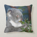 Zoek naar koala kussens Beren