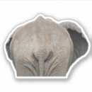 Zoek naar grappige olifant stickers Humor
