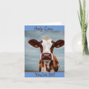 Zoek naar 50 kaarten Koe