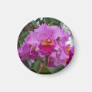 Zoek naar orchideeën magneten Bloemrijk