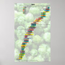 Zoek naar infographic kunst Hop