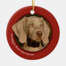 Zoek naar weimaraner ornamenten Puppy