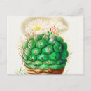 Zoek naar vintage botanisch briefkaarten Oud