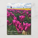 Zoek naar paarse tulp briefkaarten Tulpen
