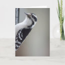 Zoek naar luister kaarten Vogel