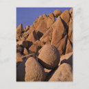 Zoek naar joshua tree national park briefkaarten Mojavewoestijn