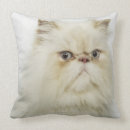 Zoek naar perzische kat kussens Schattig