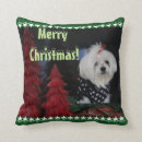 Zoek naar maltese kussens Honden