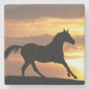 Zoek naar arabisch onderzetters Equine