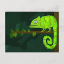 Zoek naar kameleon briefkaarten Oerwoud