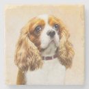 Zoek naar cavalier onderzetters Cavalier koning charles spaniel