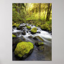 Zoek naar raketten posters Natuur