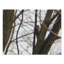 Zoek naar zink kunst Natuur