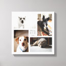 Zoek naar vier canvas prints Voor iedereen