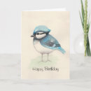 Zoek naar bluejay Buiten