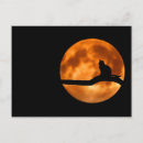 Zoek naar volle maan briefkaarten Grappig