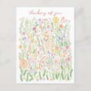 Zoek naar velden briefkaarten Contact houden