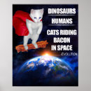 Zoek naar evolutie posters Kat
