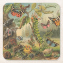 Zoek naar insect onderzetters Elk persoon