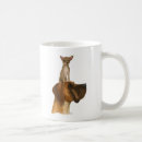 Zoek naar dans geschenken Dieren