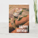 Zoek naar lizard kaarten Reptile