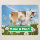 Zoek naar bulldog dekens Grappig