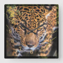 Zoek naar big cats klokken Jaguar