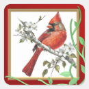 Zoek naar mooie vogel stickers Elk persoon