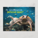 Zoek naar onderwater zwemmen posters Schildpad