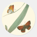 Zoek naar leder stickers Leaf