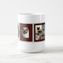 Zoek naar siamees mokken Kat