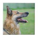 Zoek naar glimlach tegels Tong