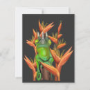 Zoek naar kameleon briefkaarten Hawaï