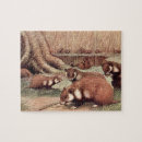 Zoek naar hamster puzzels Knaagdieren