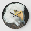 Zoek naar eagle klokken Dieren