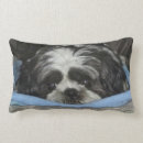 Zoek naar shih tzu kussens Schattige hond