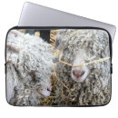 Zoek naar grappige geiten hoesjes Schattig