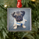 Zoek naar pug ornamenten Hond