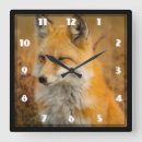 Zoek naar red fox klokken Natuur