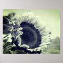 Zoek naar dicht posters Bloem