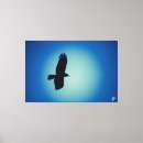 Zoek naar kraai kunst Blauw