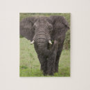 Zoek naar boomstam puzzels Groen