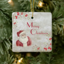 Zoek naar winter berries ornamenten Voor iedereen