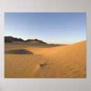 Zoek naar duin posters Sahara