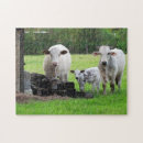 Zoek naar cow puzzels Dier