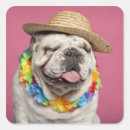 Zoek naar brussel stickers Land