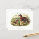 Zoek naar gould briefkaarten Illustratie