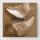 Zoek naar shell klokken Natuur