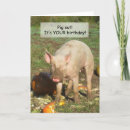 Zoek naar varkensvlees kaarten Grappig