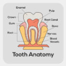 Zoek naar anatomie stickers Zorg